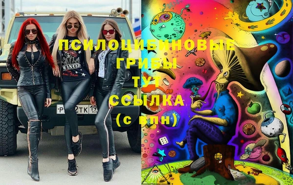 бошки Нягань