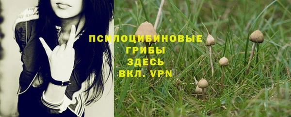 бошки Нягань