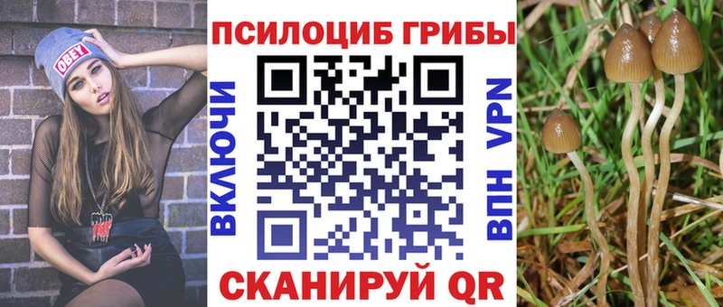 Псилоцибиновые грибы мицелий  Чехов 