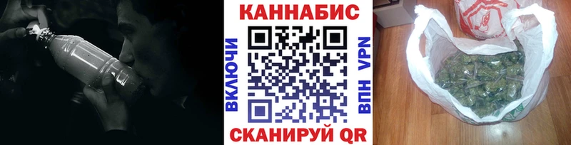 Каннабис сатива  Чехов 